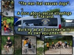 The man that rescues dogs. TMTRD